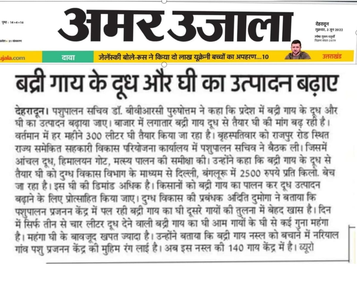 Statement on increasing Badri cow's milk production.