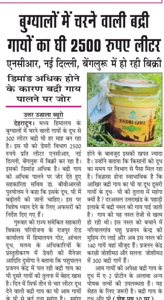 Increased demand for Badri ghee.